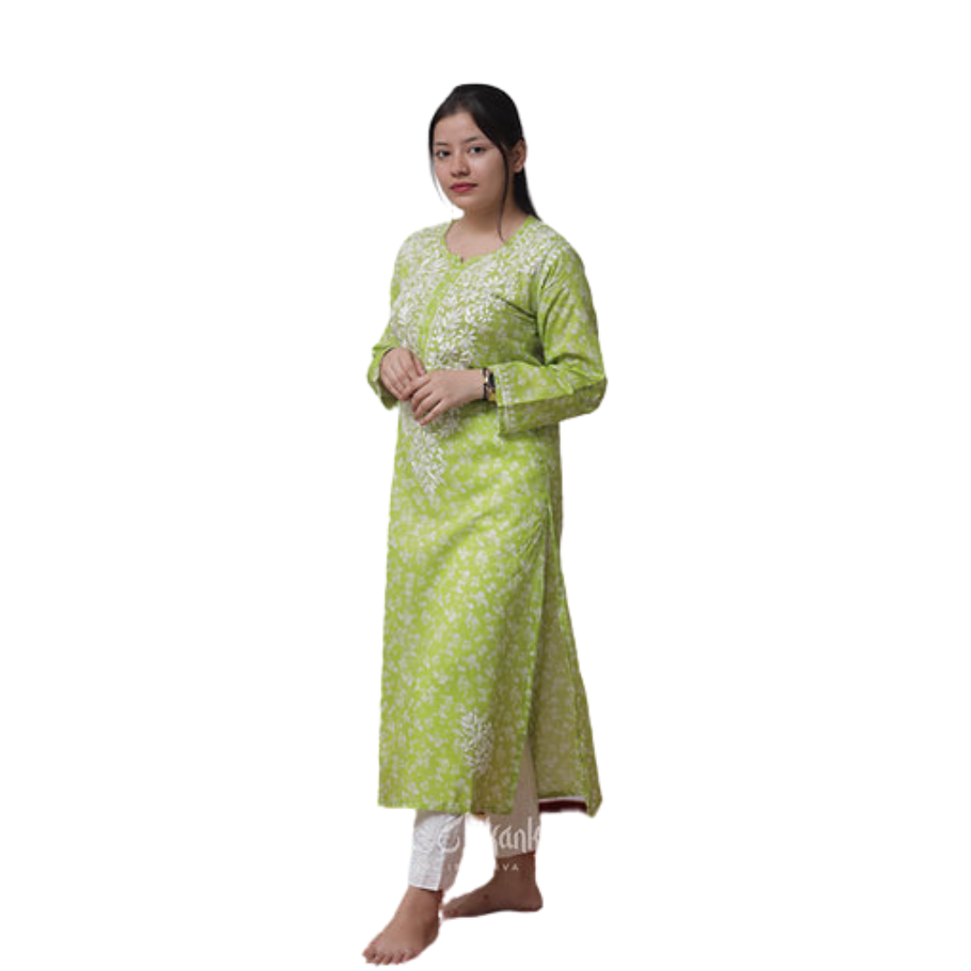 Ramsha Nakhrili Chikan Kurti with Print