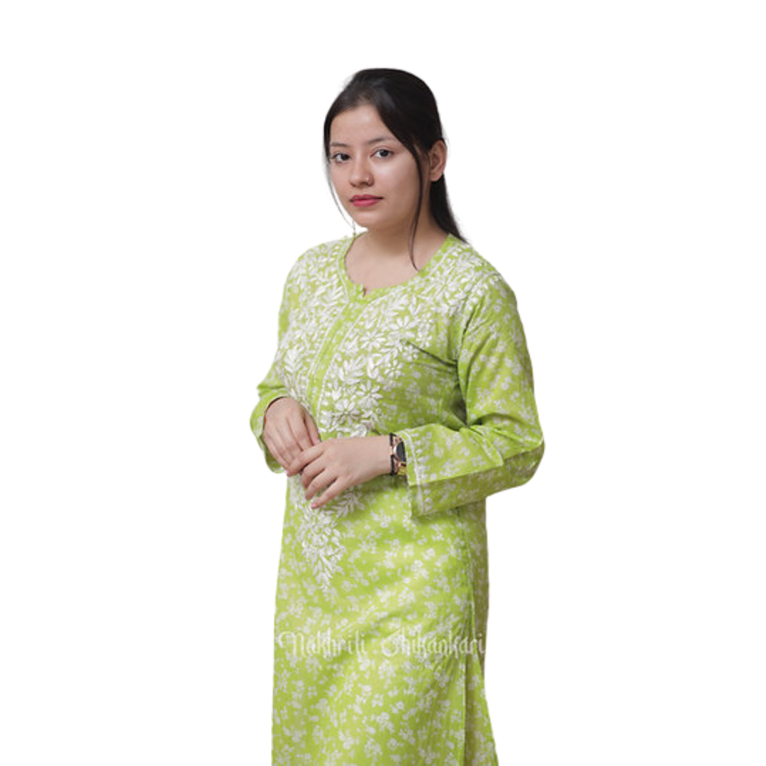 Ramsha Nakhrili Chikan Kurti with Print